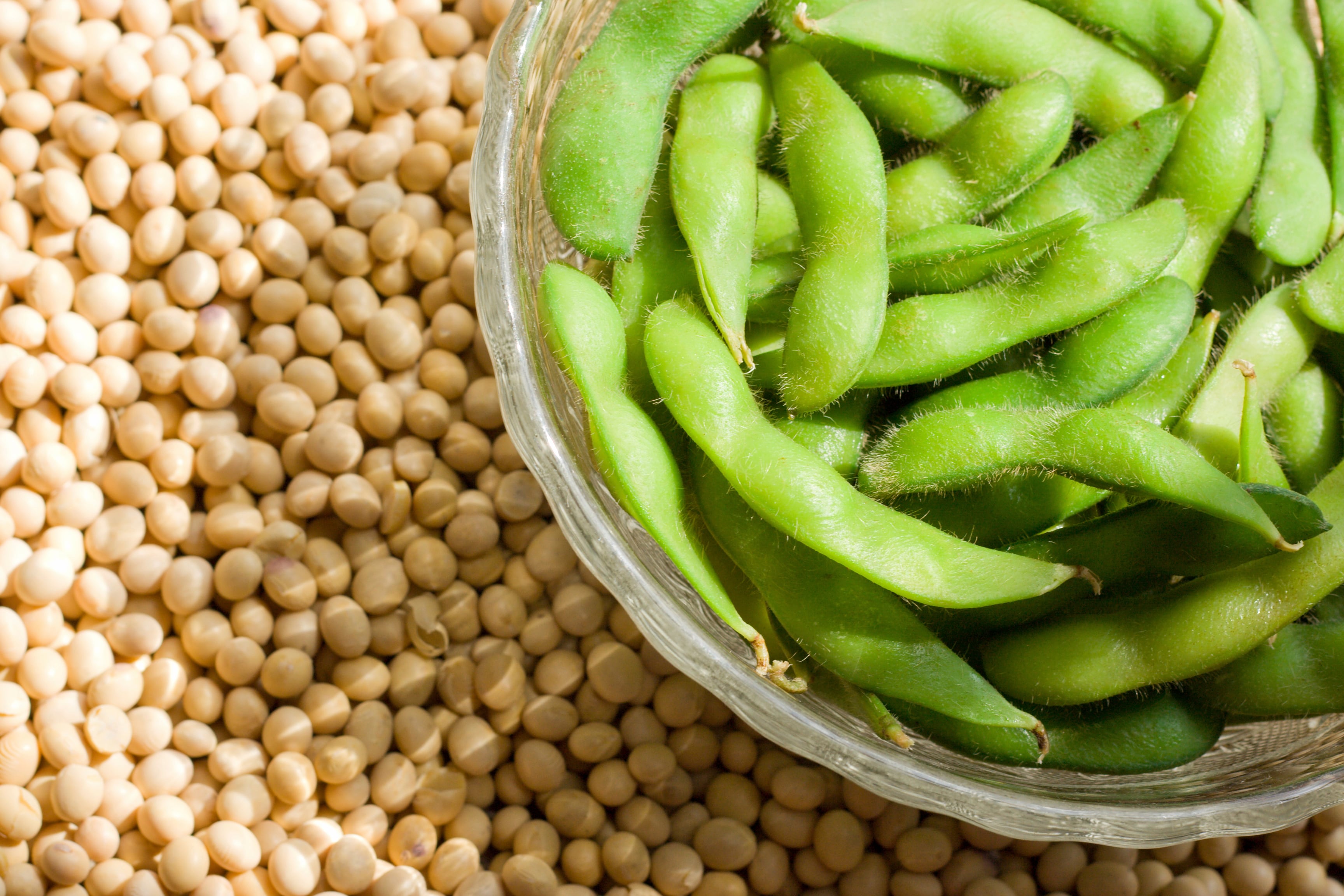 Need a meal in a hurry? Stock these five high-protein foods