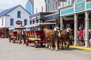Family travel 5: Last-minute trips