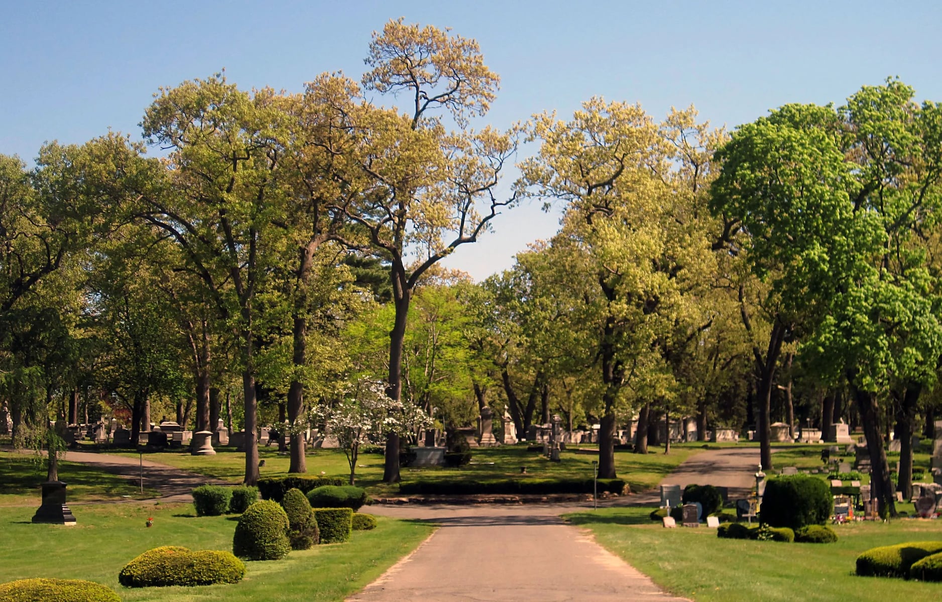 Board of Health developing policy on green burials