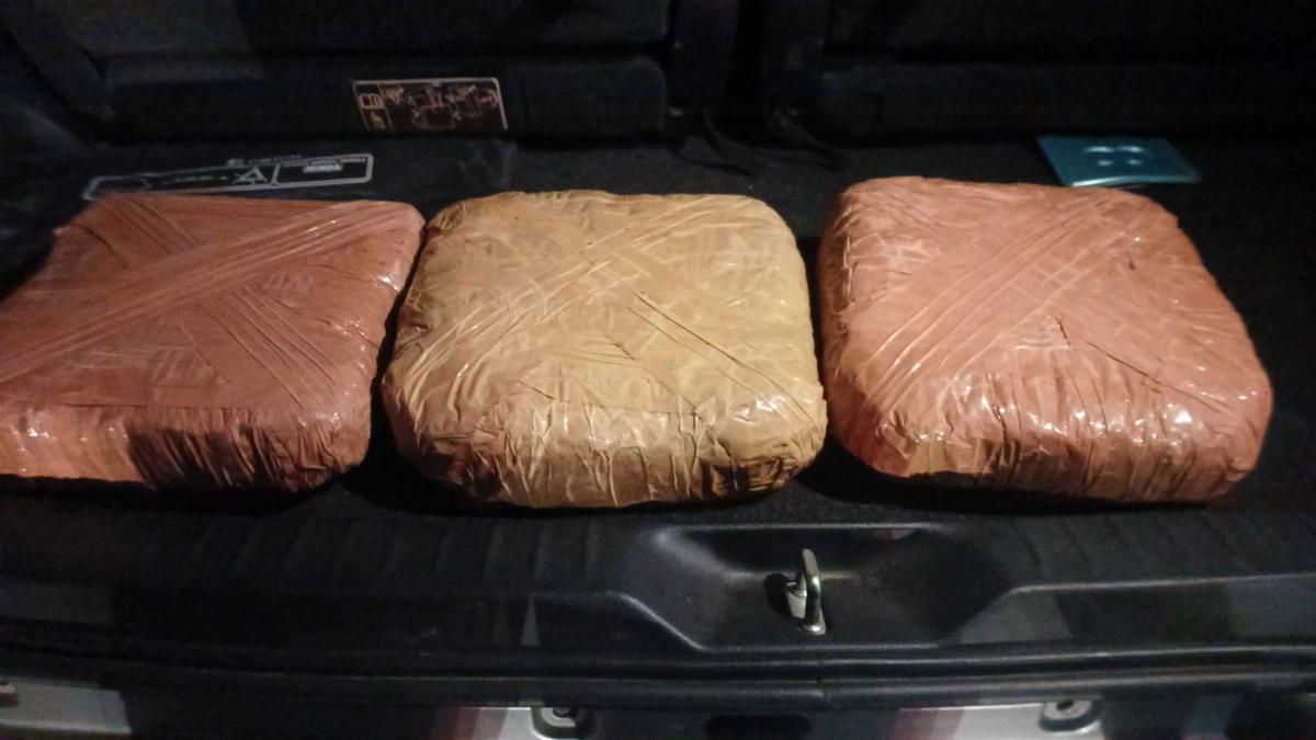 Odisha-Hyderabad drug trafficking network busted, woman among three held with 6 kg ganja