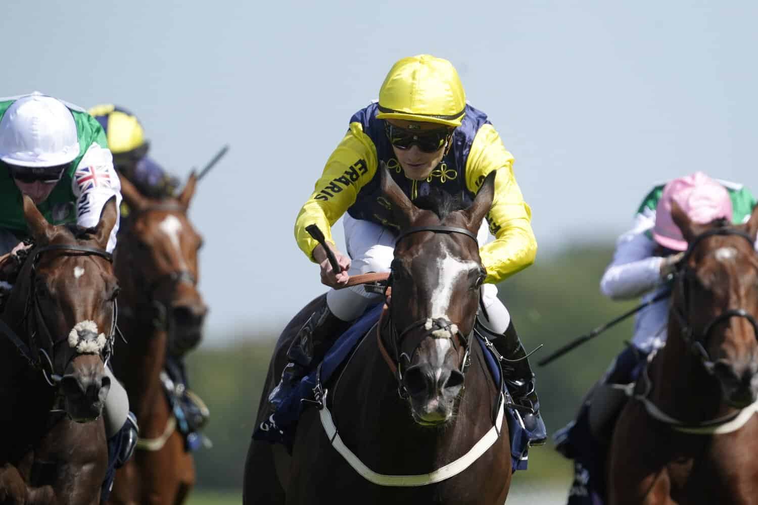 Cool hand Luke stars at Shergar Cup