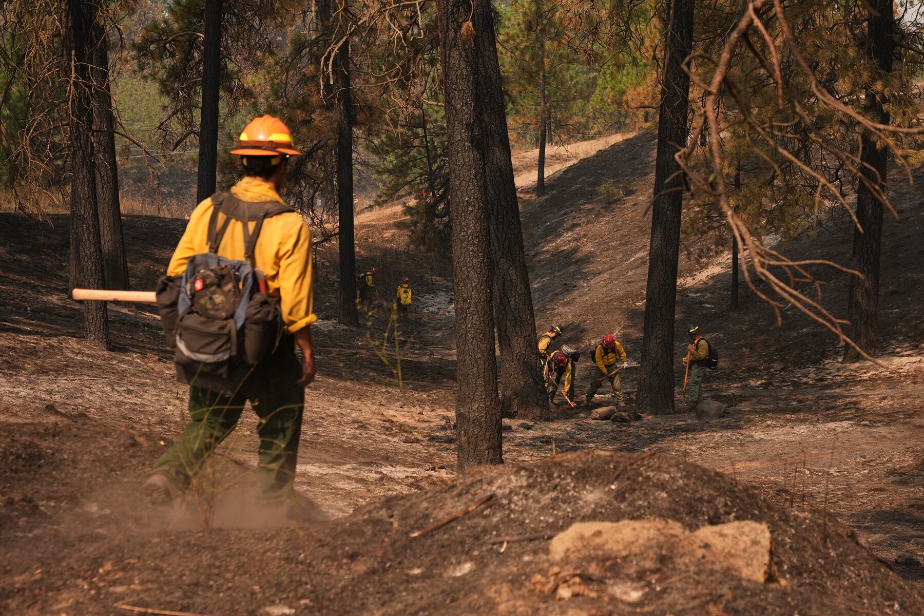 Could betting on the next wildfire actually make one more likely?