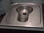 RICHARD LITTLEJOHN: A council installing £1million 'squat' toilets for foreigners is proof that Britain's going down the pan