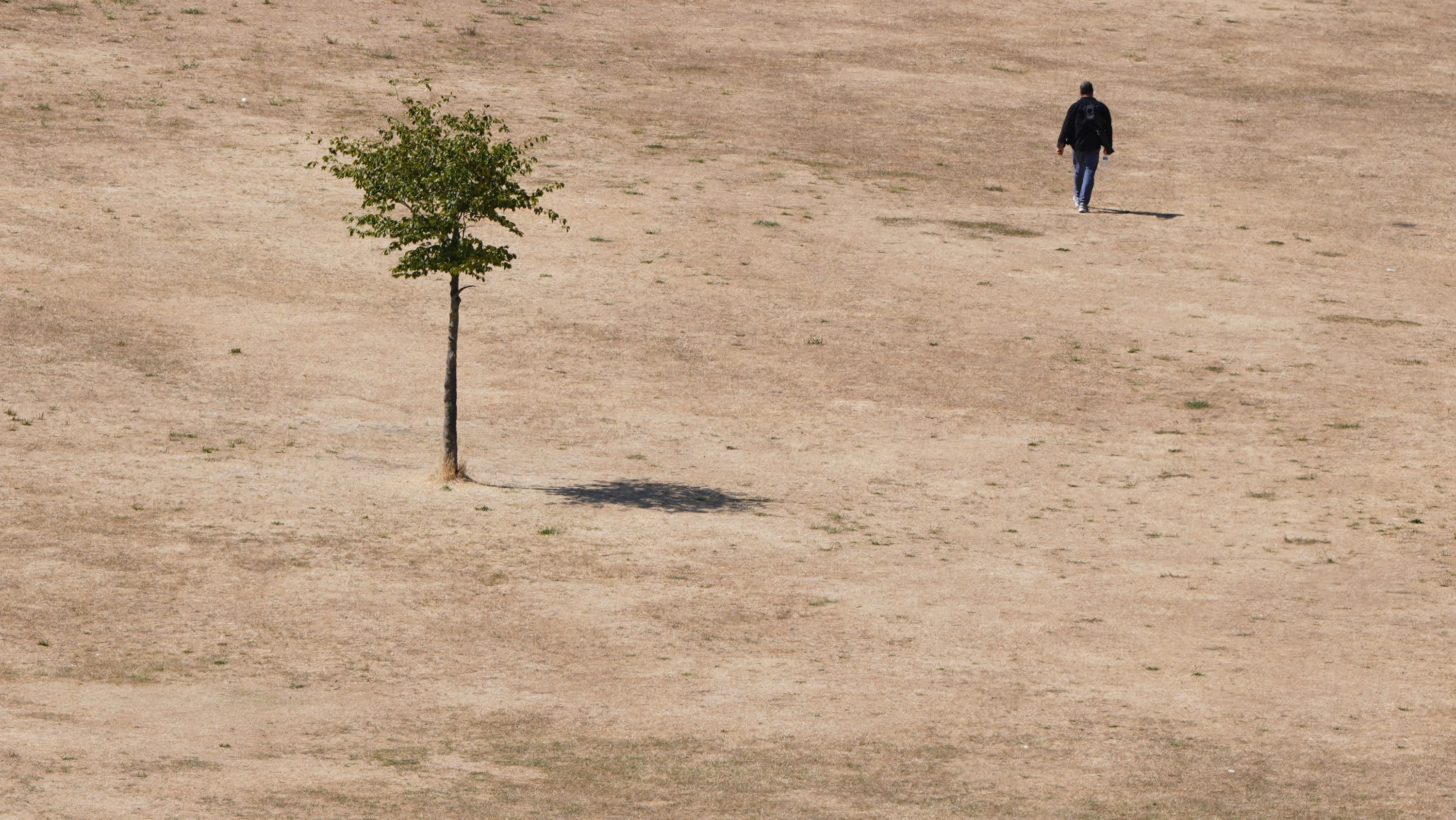 Europäische Klimadaten: Der heißeste Juli seit Menschengedenken