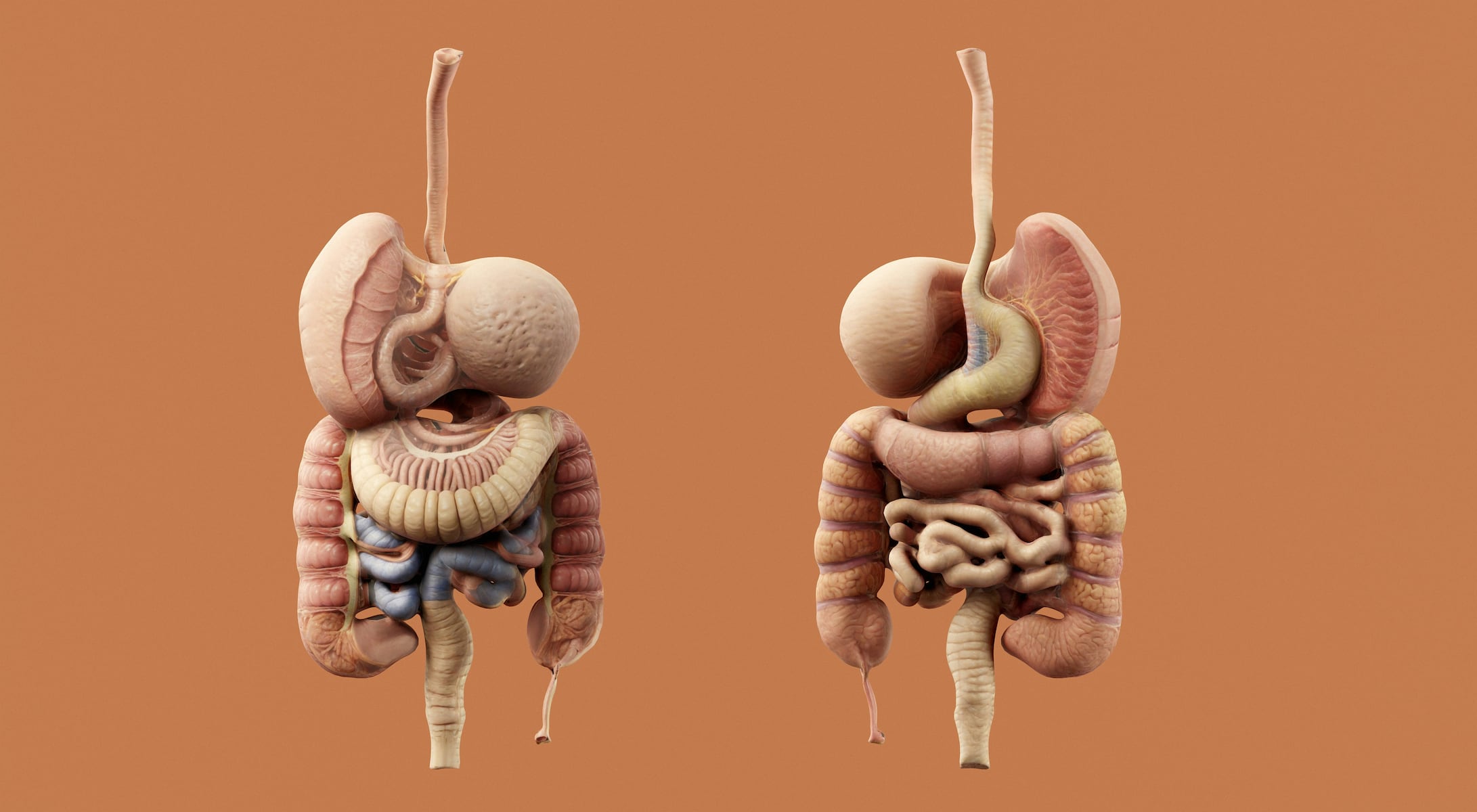 Poo transplant an ‘exciting’ step forward for allergy treatments