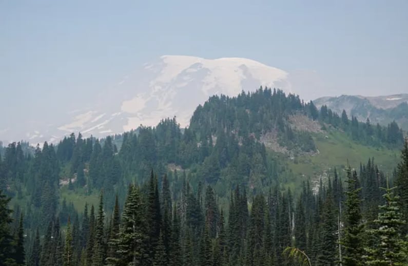 New wildfire scorches more than 300 acres near Mount Rainier, 0% containment