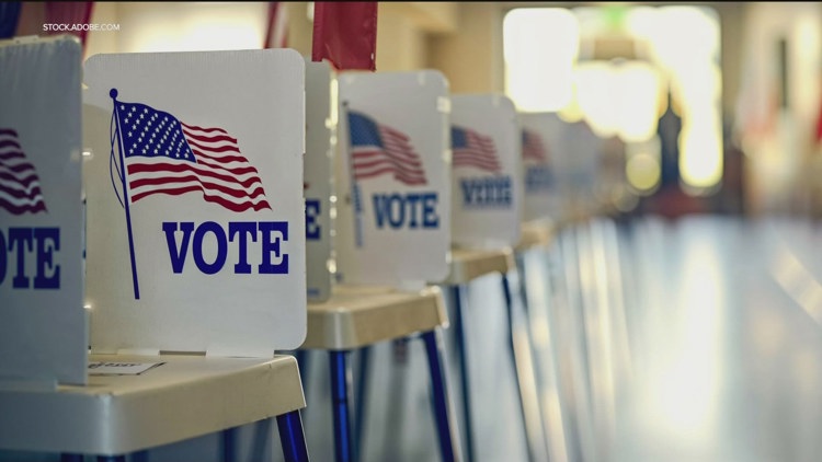 High-stakes Minnesota primary will determine direction of DFL and Republican parties heading into November