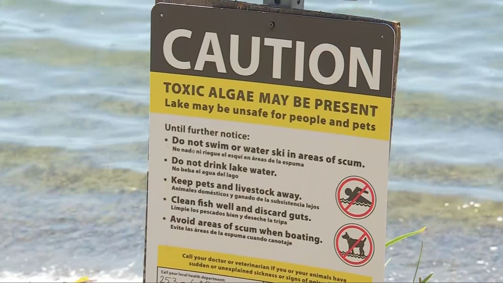 Lake Wilderness waters test positive for toxic algae, officials recommend staying away
