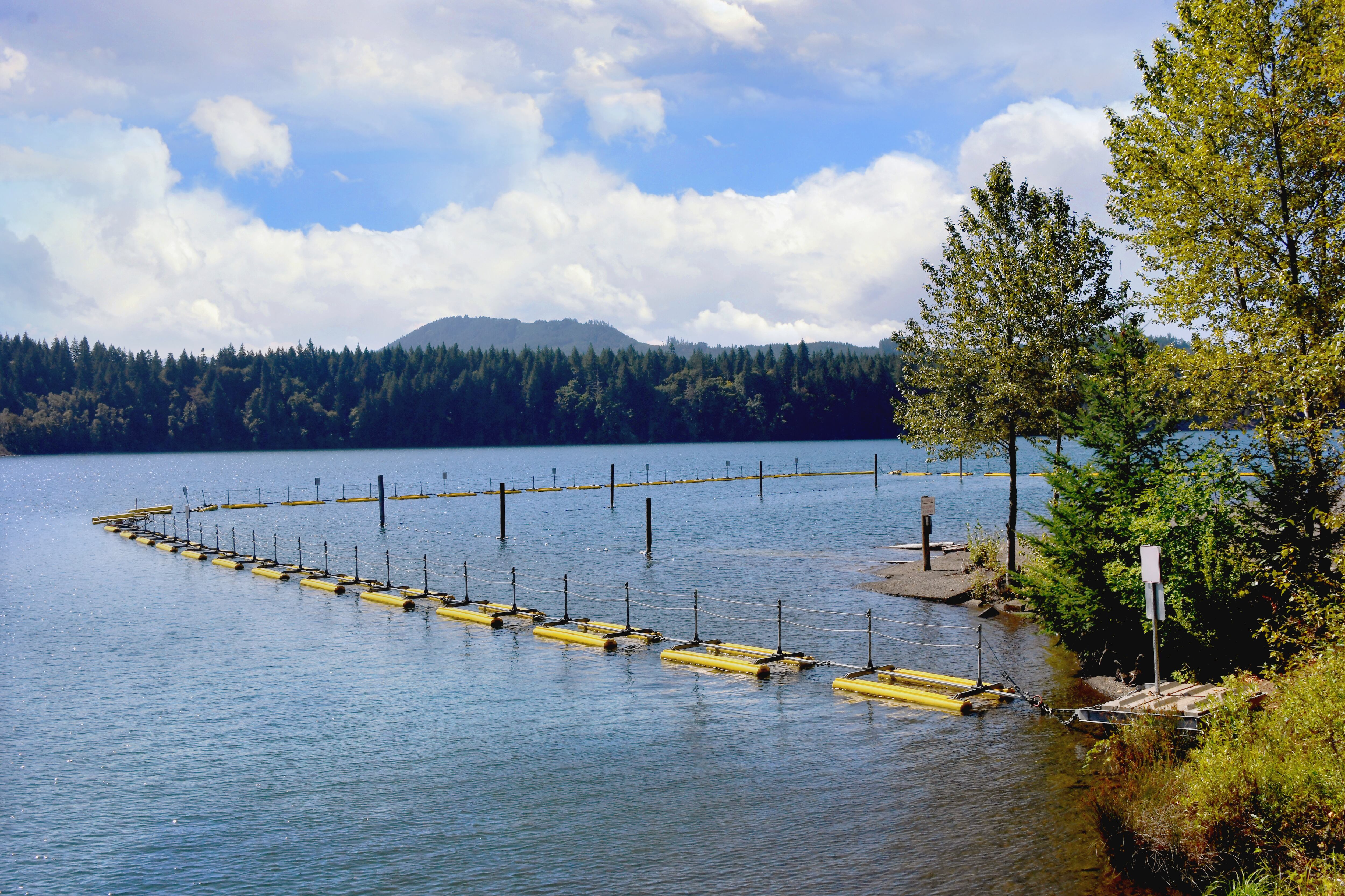 Corvallis man drowns at Lewis Creek Park, police say