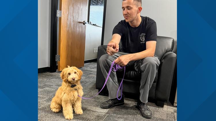DPS deploys agency's first crisis-response dog