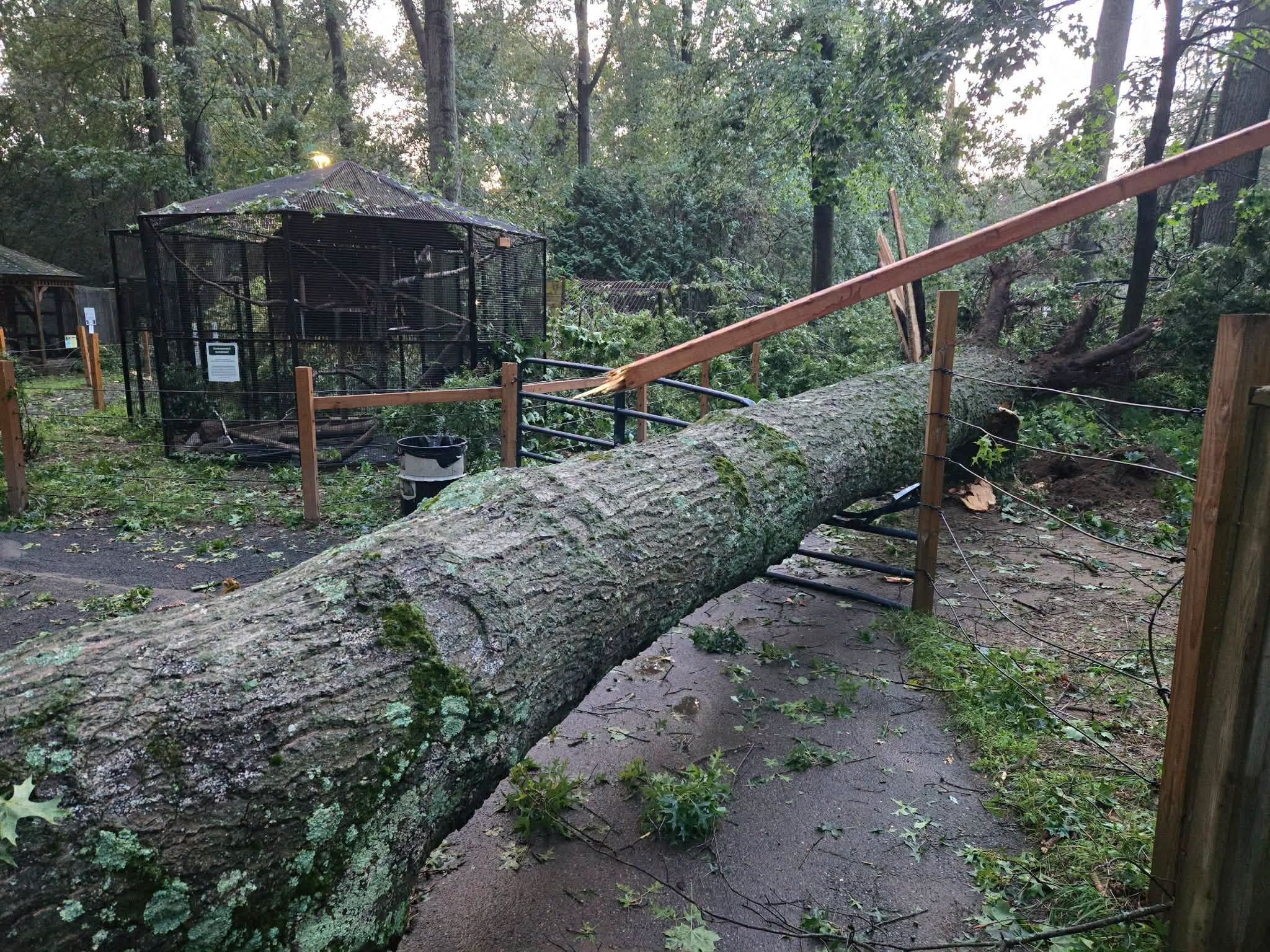 Springfield zoo suffers devastating damage during severe storm