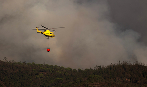 Firefighters struggle to put out wildfire in southwestern Spain
