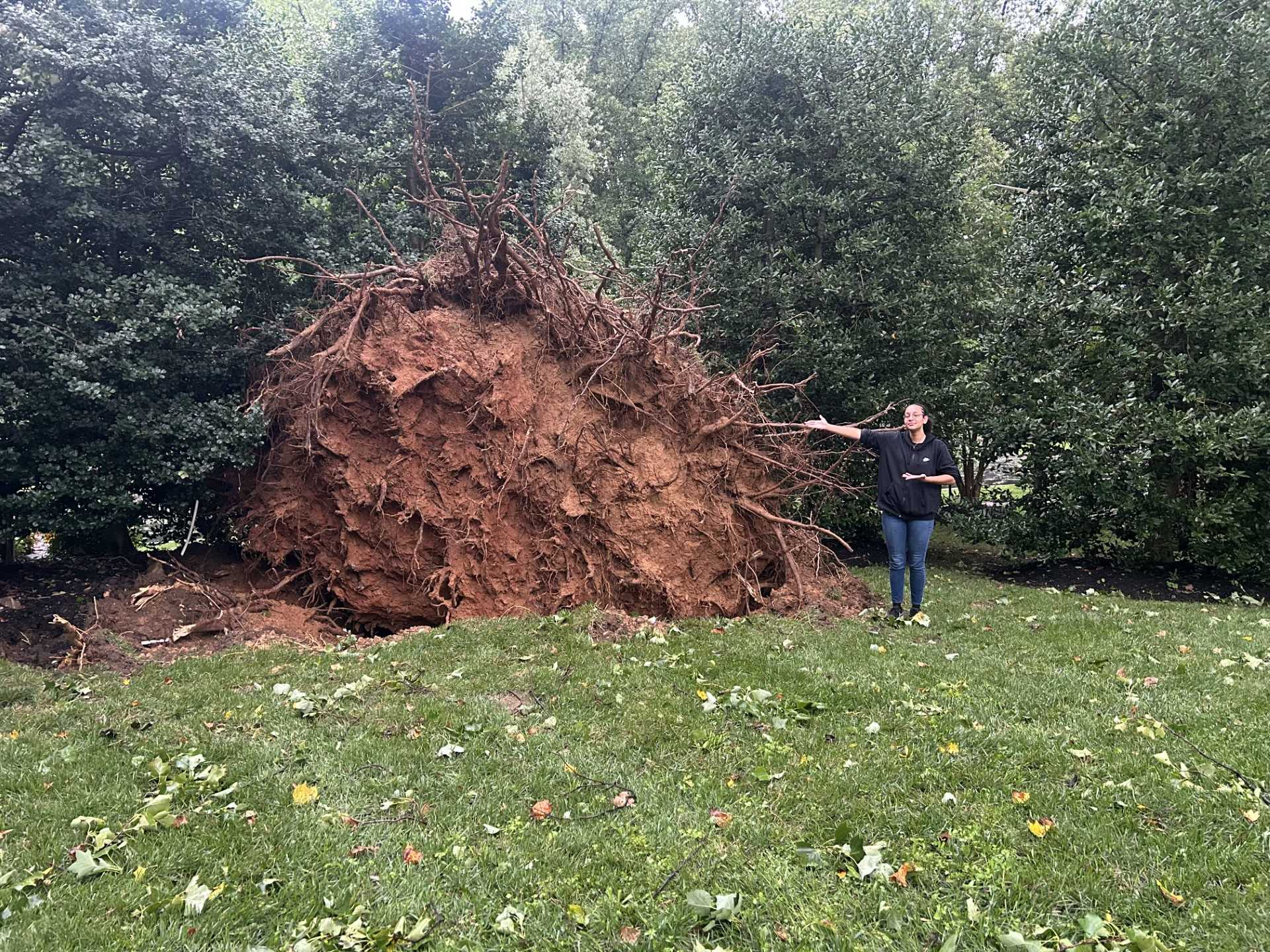 Aftermath of storm damage felt in Columbia, Essex