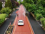 England's first cycle street is closed just months after opening due to 'sub-par road markings' - despite £2.4million being spent on it in the first place