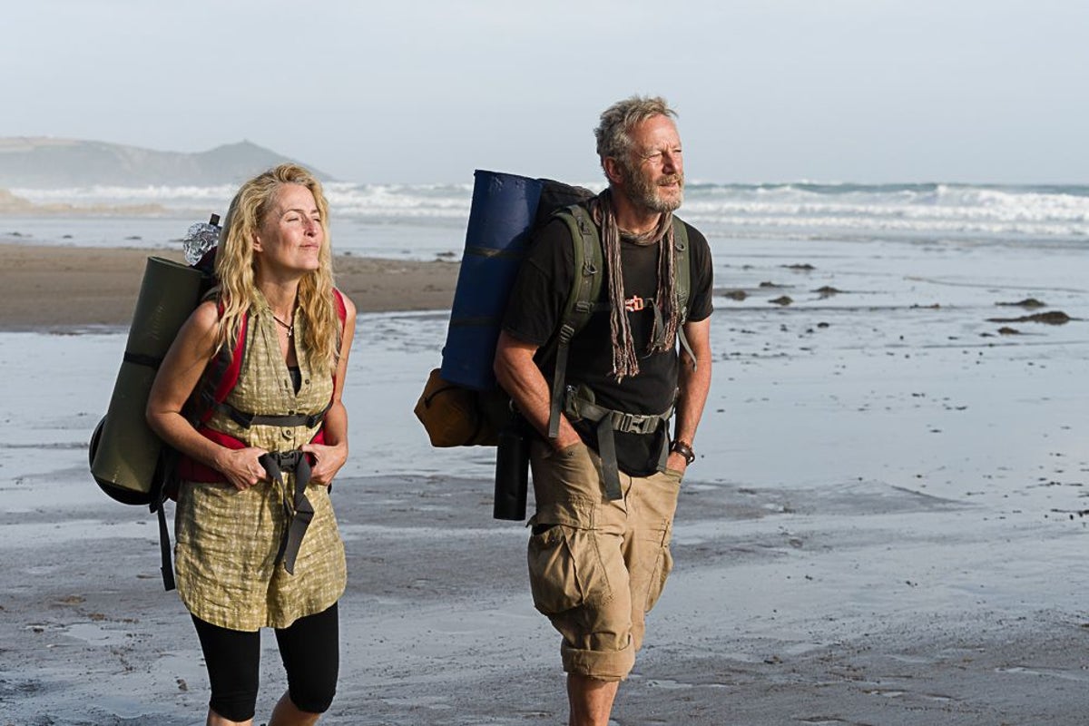 Gillian Anderson hopes fans view The Salt Path movie as ‘separate’ to controversial book