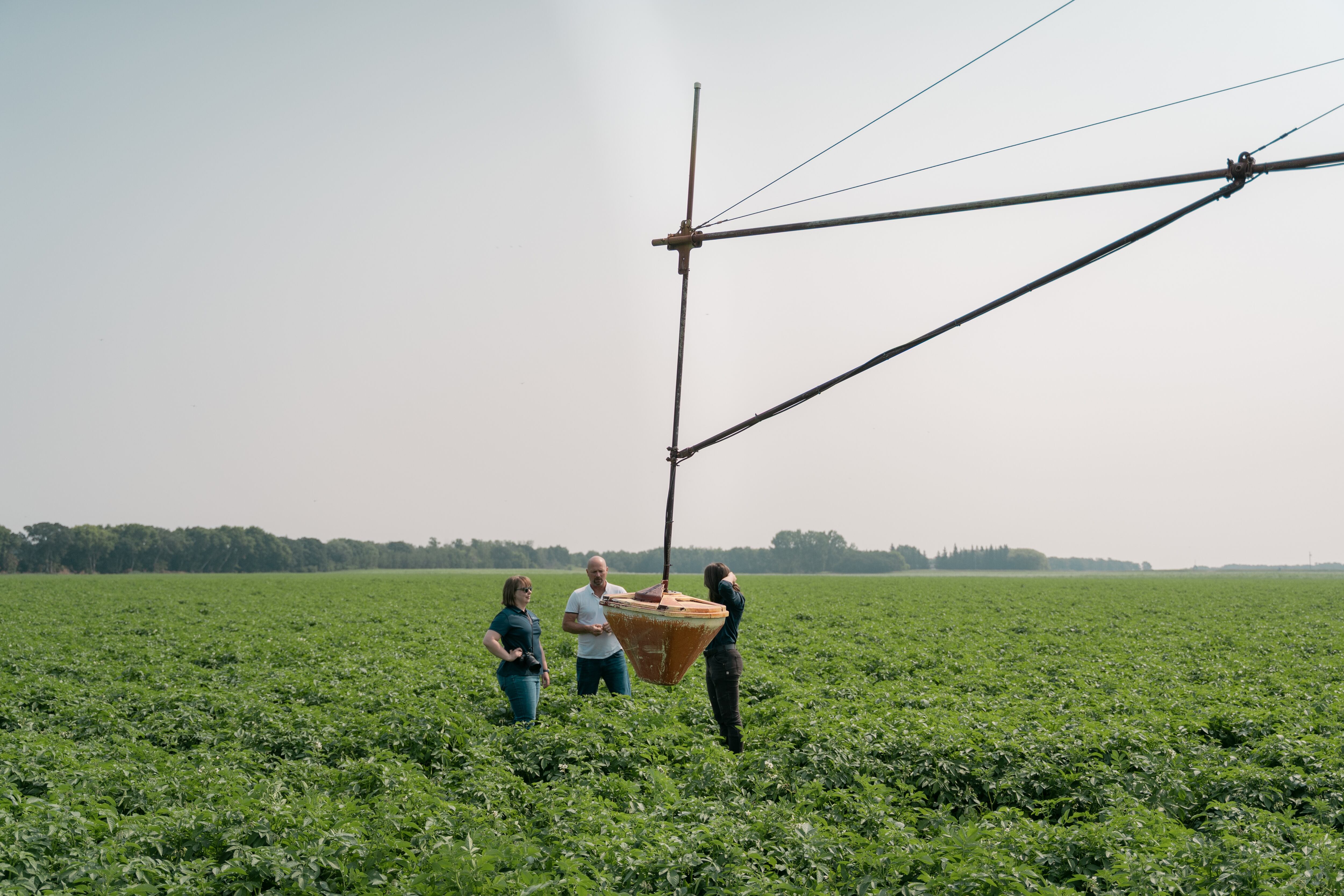 Business Brief: Harvesting data on the farm