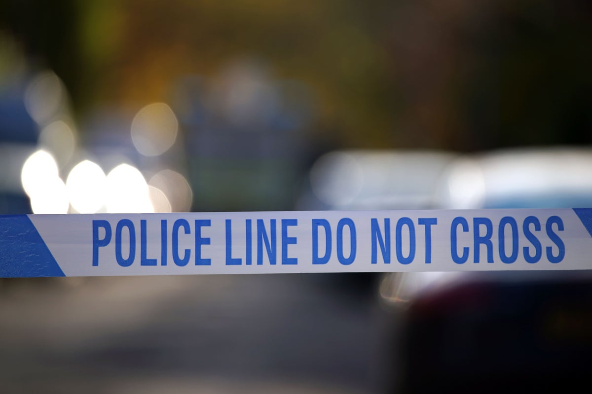 Murder investigation launched after man killed outside London pub