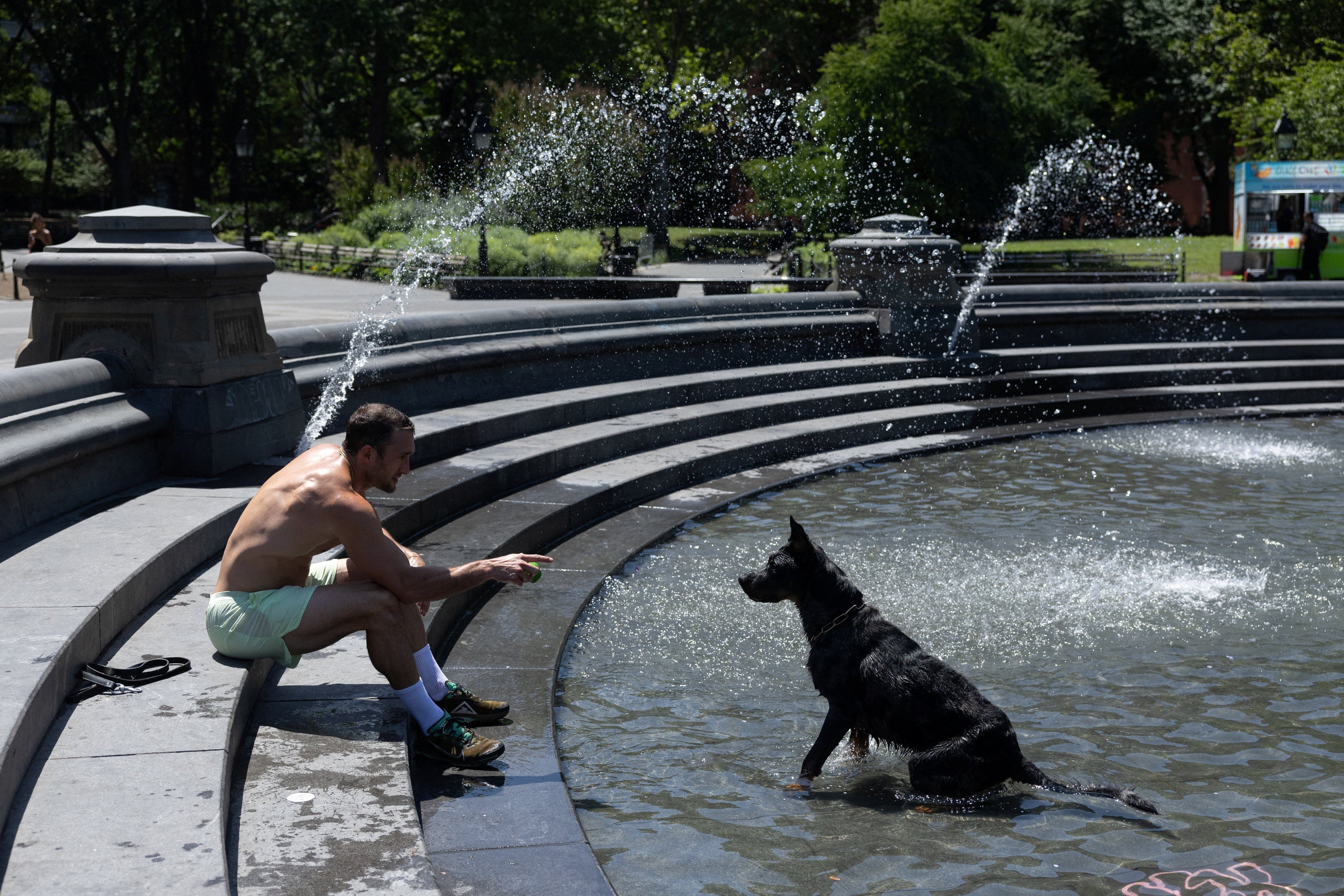 Dogs can tell when humans are happy, sad or angry, study shows