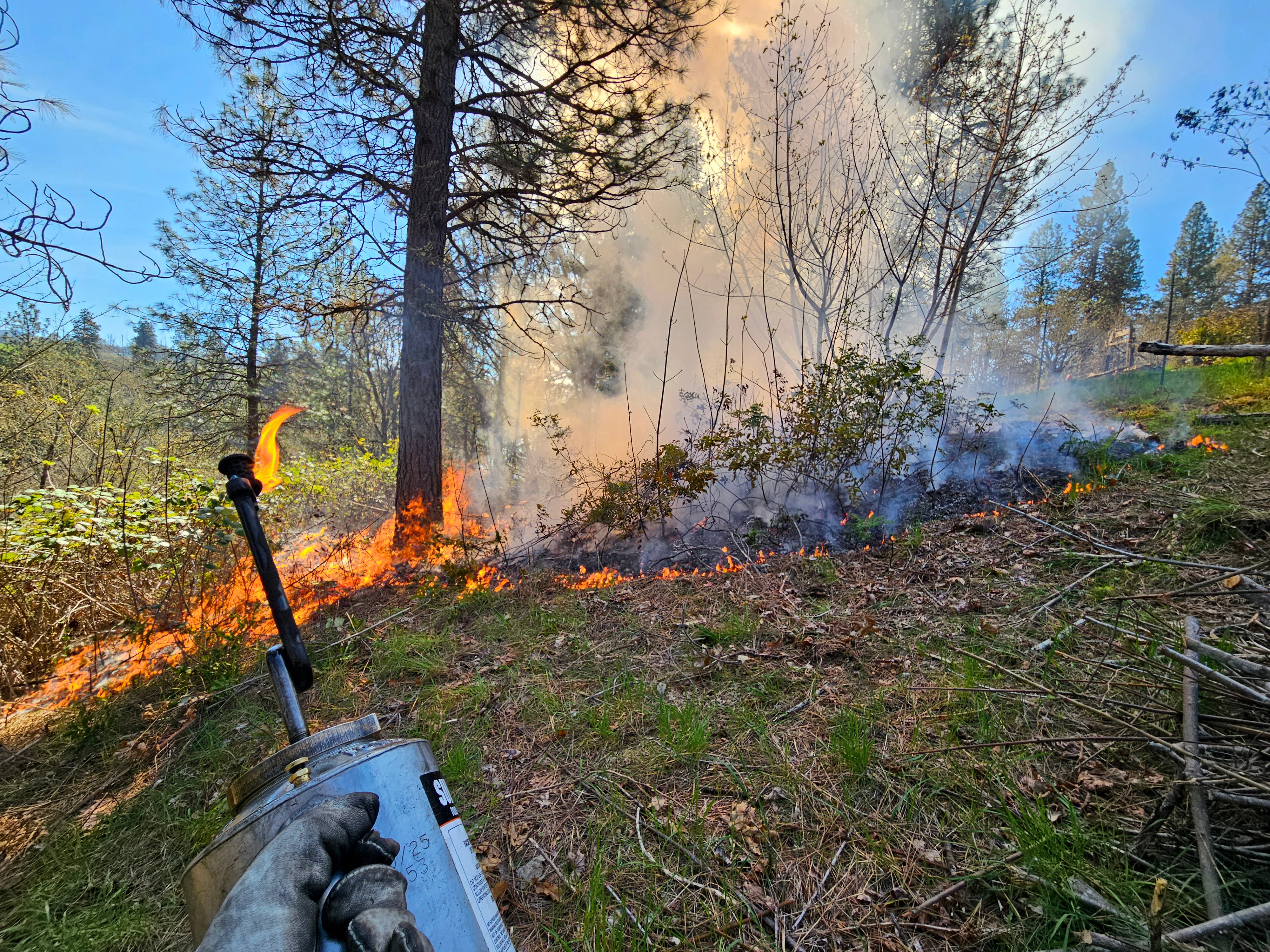 As blazes rage across Oregon, Mosier explores a proactive approach to fire