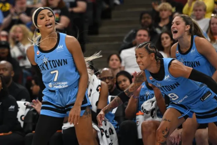 Joe Concha says WNBA only survives like Zohran Mamdani’s New York: ‘Subsidized’
