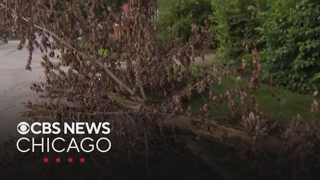 More downed trees, power outages a worry with storms coming Tuesday