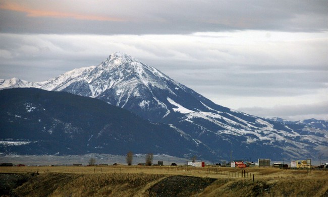 A Democrat Campaign to Get Their Montana Senate Nominee Off the Ballot Doesn't Go According to Plan