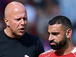 Arne Slot reveals why he withdrew from Netherlands job talks less than THREE MONTHS after being sacked by Liverpool