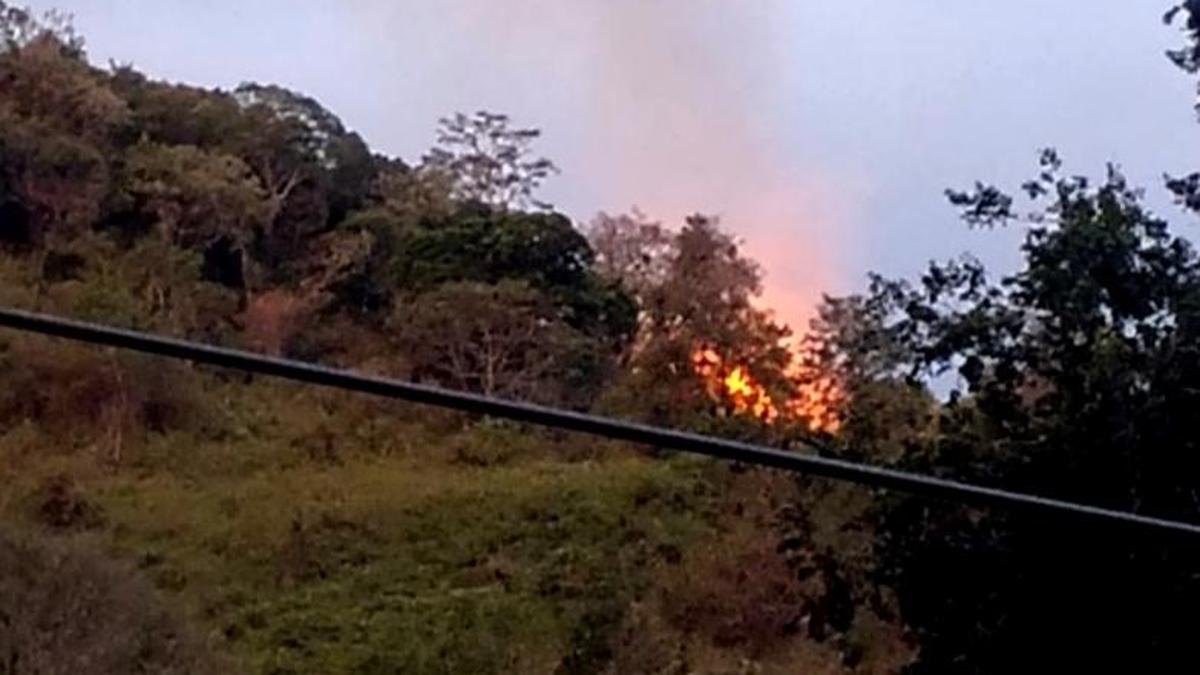 Forest fire: Ban on devotees to climb up Sathuragiri hills continues for second day