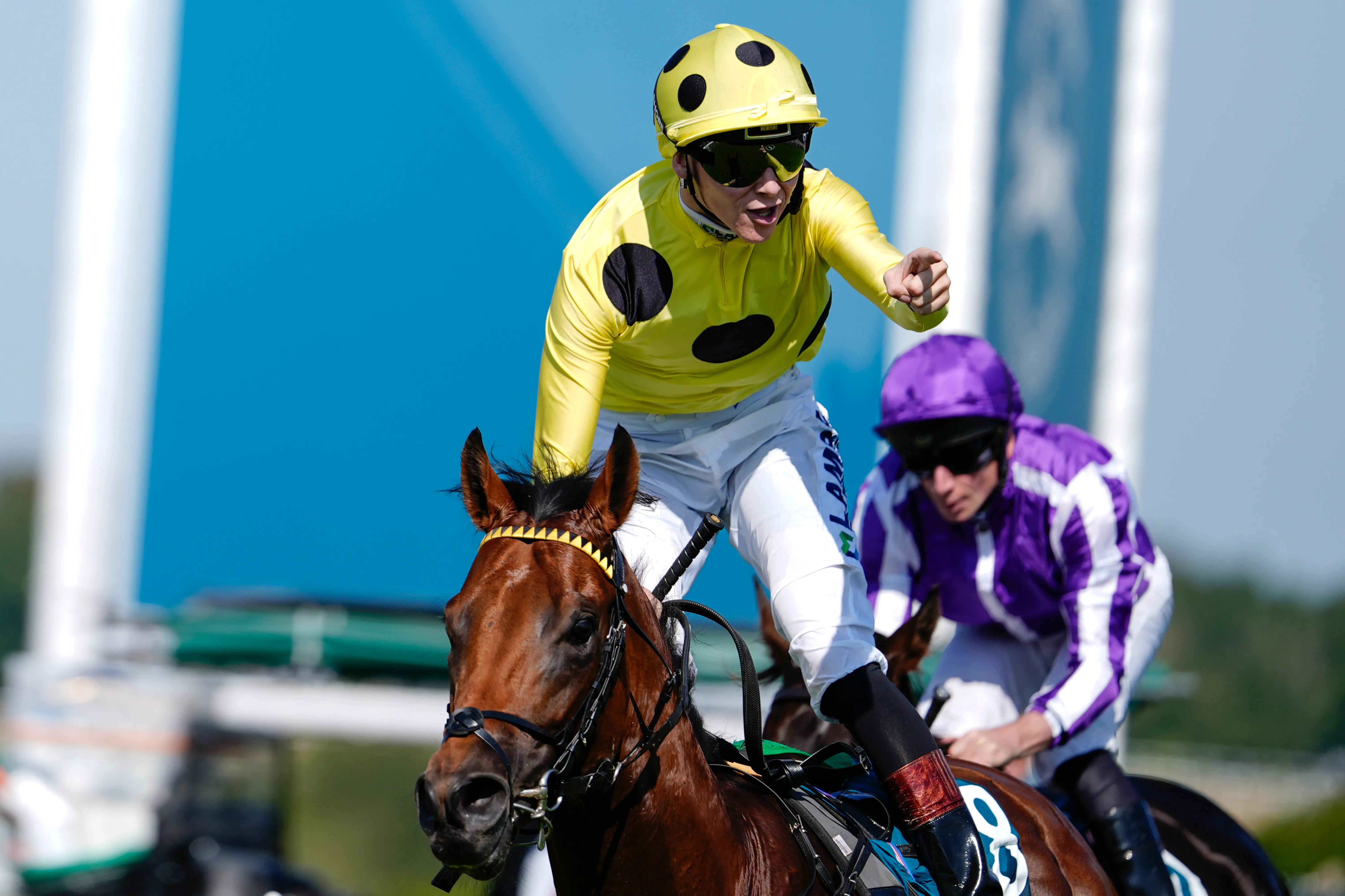 Racing shock as George Boughey announces unbeaten superstar Bow Echo has been retired with immediate effect