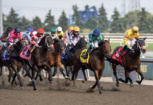 Luster installed as early even money favourite for $1-million King's Plate