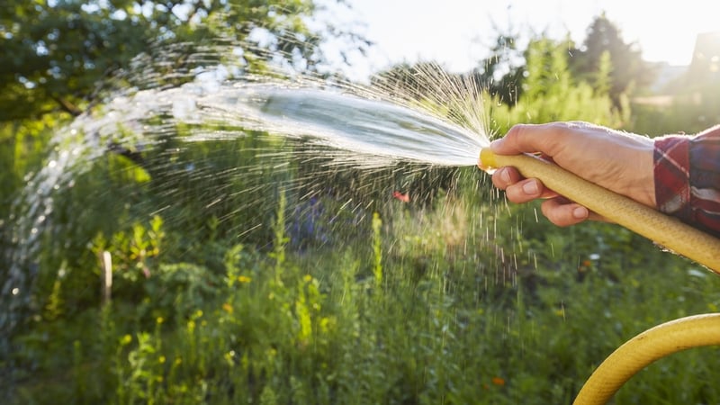 Hosepipe ban extension may be considered - Uisce Éireann