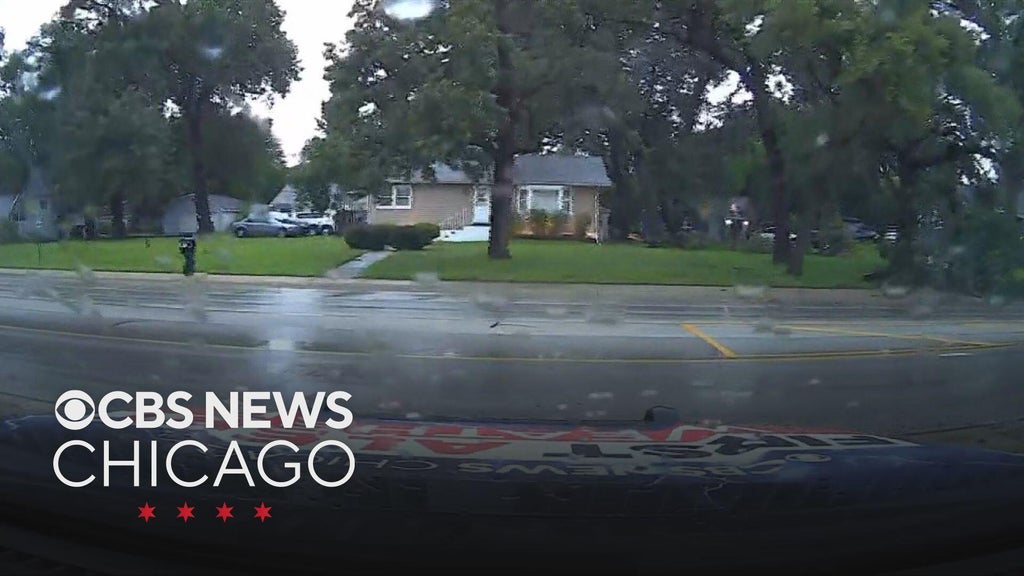 Trees come down as dangerous storms hit Homewood