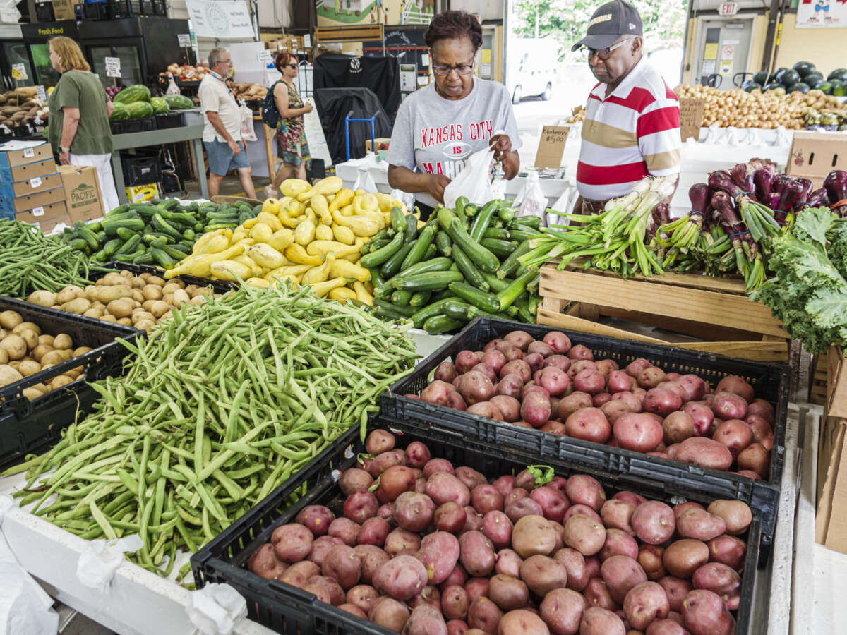 As Foodborne Illnesses Surge, People Turn to Local Farms for Certainty