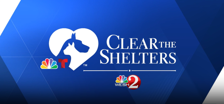 Clear the Shelters | Meet adoptable pets at the SPCA of Brevard
