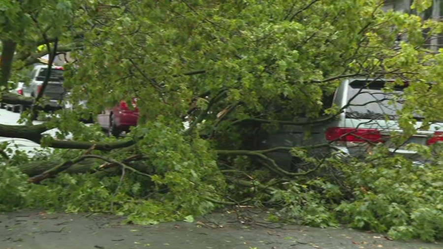 Residents across Chicagoland picking up the pieces after Tuesday storms