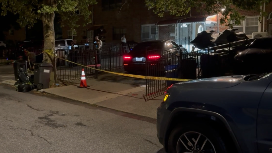 Mom shot while sitting in car with son in the Bronx: sources
