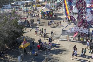 Entries for the 2026 Comal County Fair Hay Show now open