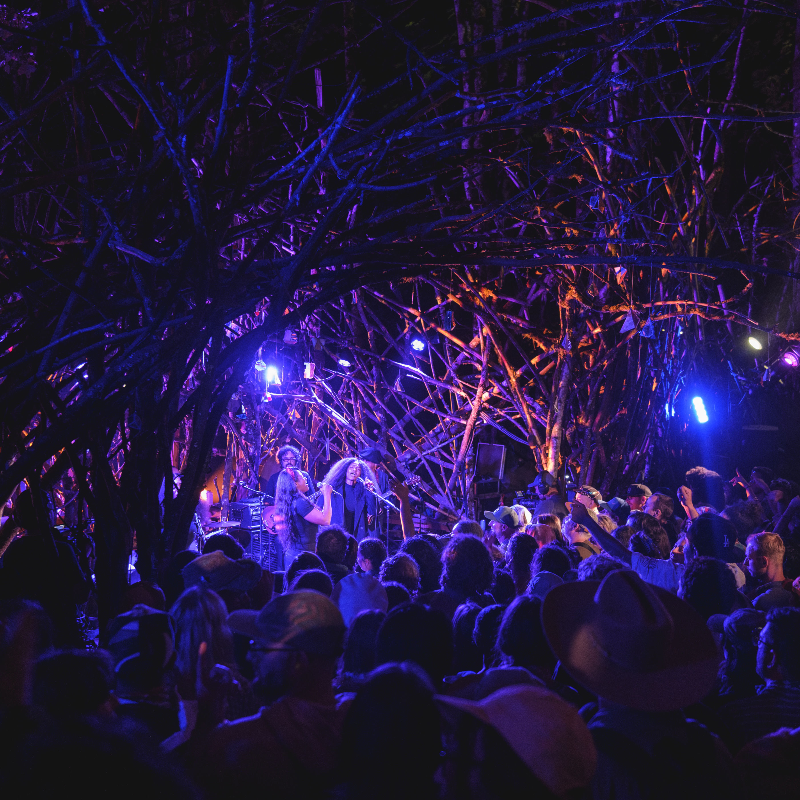 Top Performances of Pickathon 2026