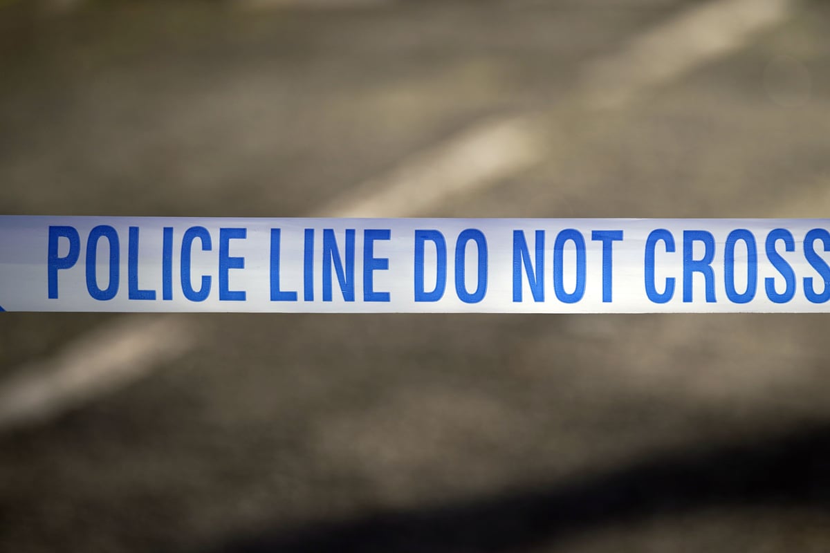 Witness appeal after attempted sexual assault on south London train