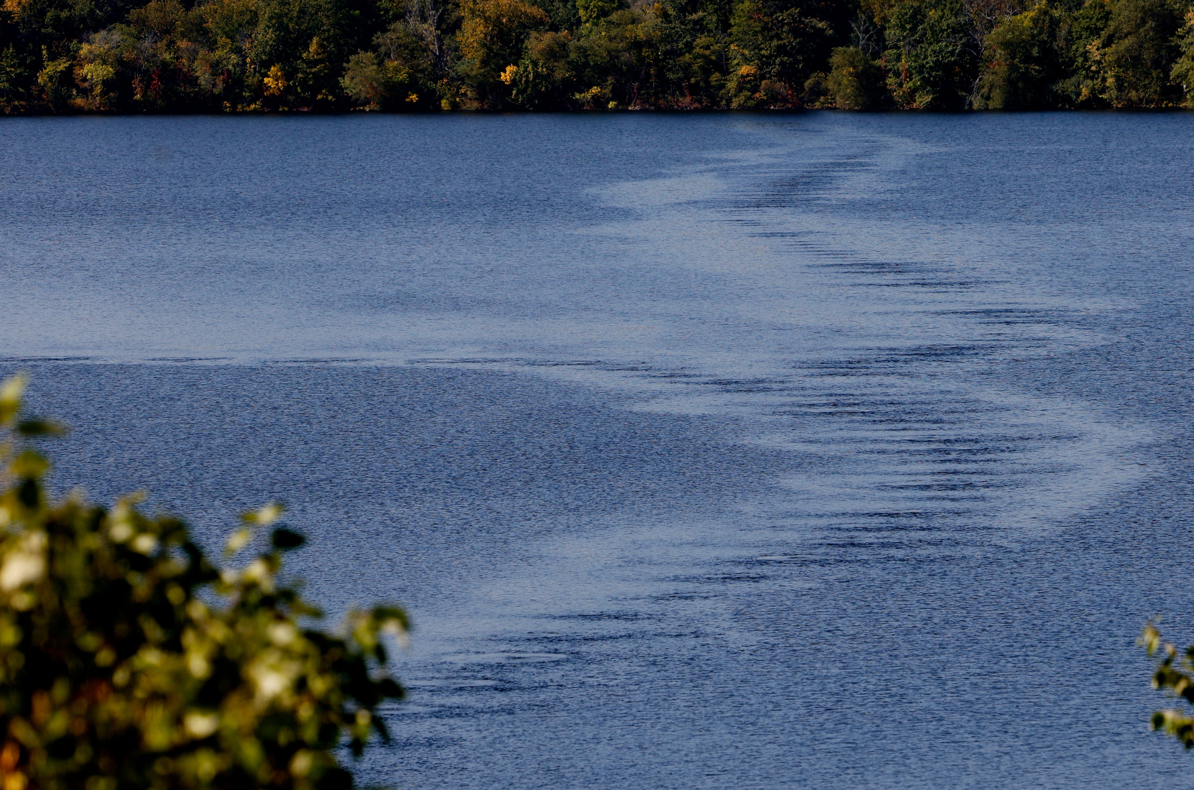 Body found in Cambridge pond, police say