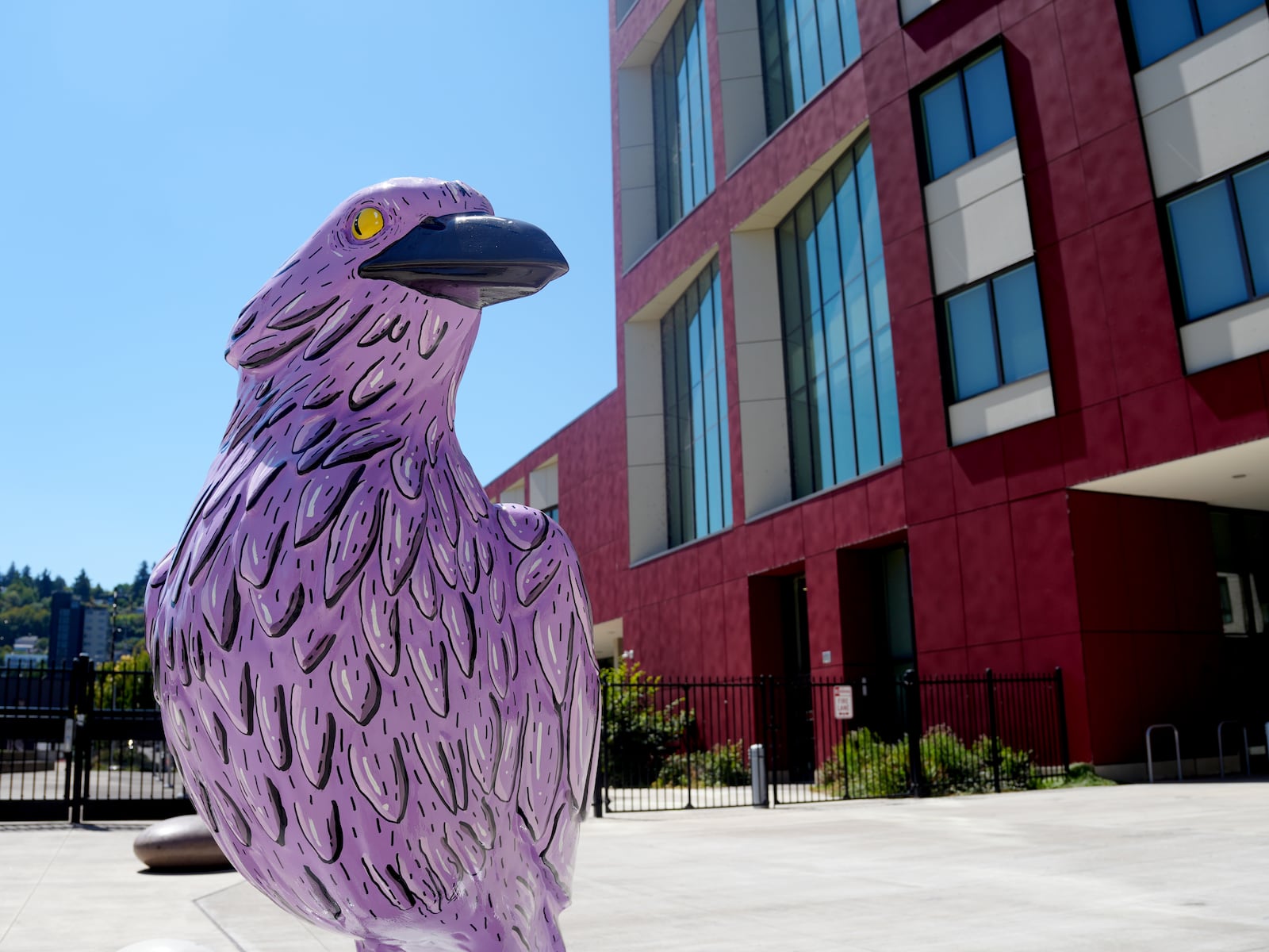 Giant crow sculptures transform Portland into interactive gallery