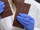 Tastes like home! First 100% British chocolate bar made since 1932 - using cocoa from Berkshire