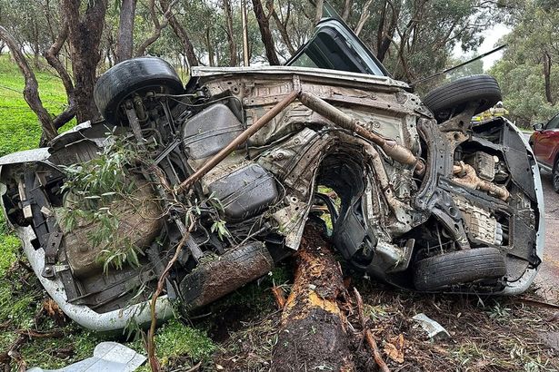 Young driver makes miraculous escape with minor injuries after horror tree crash