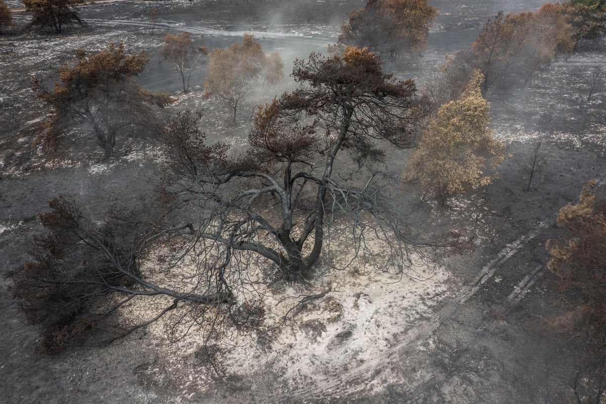 Stay away from Dunwich Heath amid ongoing fire risk, warns National Trust
