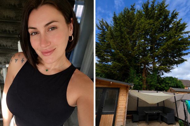 'My neighbour's tree blocks the sun four hours a day and is ruining my fence'