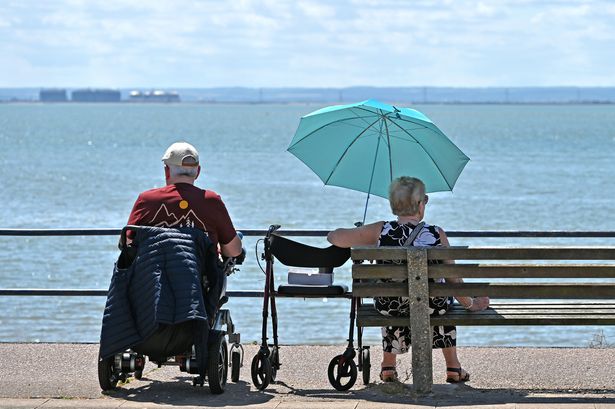 NHS must plan for heatwaves like winter crises to protect frail and vulnerable, Yvette Cooper says