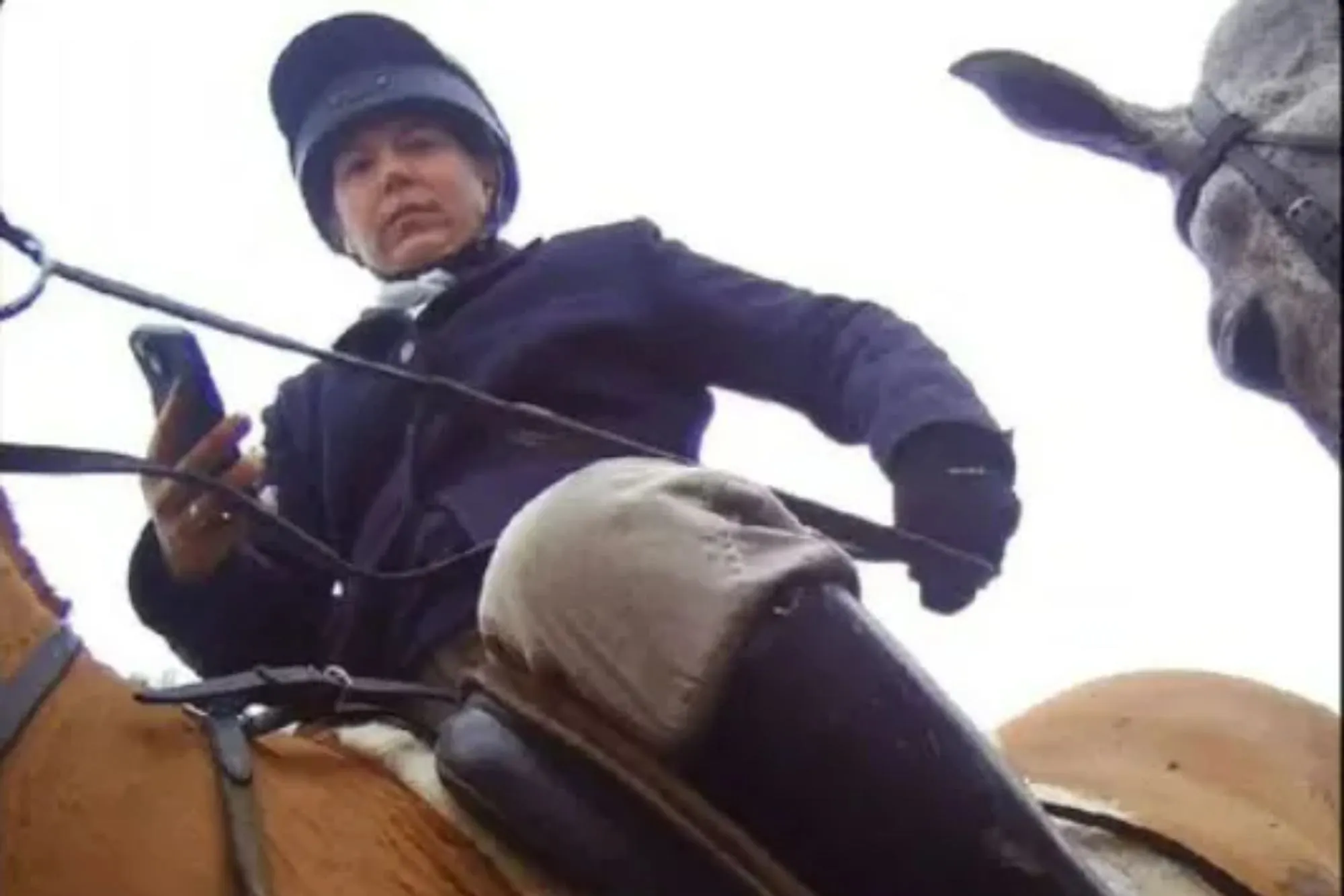 Huntswoman ‘battered female saboteur with mobile phone before knocking her over with horse in row’
