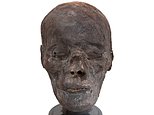 The REAL mummy's curse: Global trade in human heads could unleash ancient microbes on the world, scientists warn