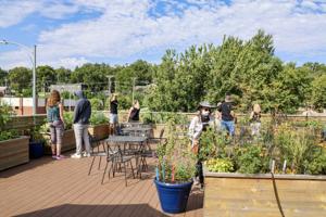 North Omaha Summer Arts Garden Walk is set for Saturday