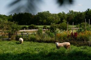 This week in Buffalo food: What it's like attending a farm dinner